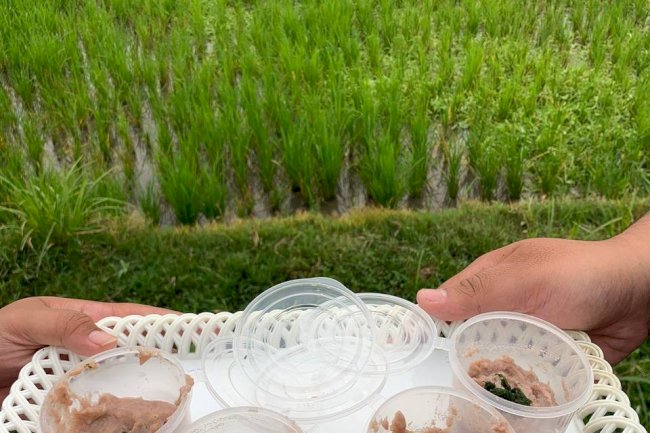 Petualangan Rasa Sehat: Memulai MPASI dengan Ikan Segar yang Penuh Gizi