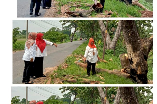 Pengecekan, Pembersihan & Penebangan Pohon di Wilayah Desa Bakungan Kecamatan Karangdowo