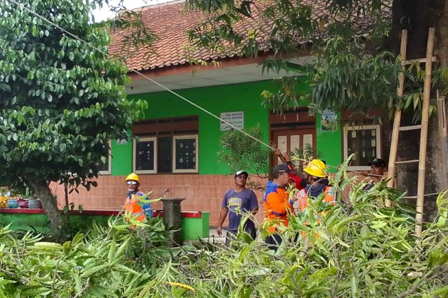 GERAK CEPAT RELAWAN KARANGDOWO TANGANI POHON TUMBANG 
