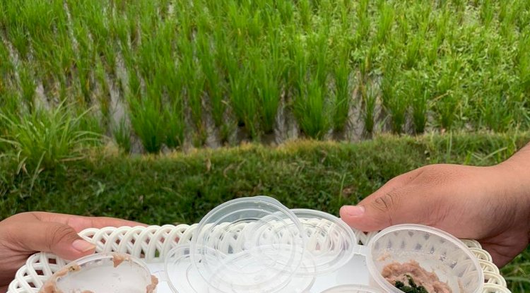 Petualangan Rasa Sehat: Memulai MPASI dengan Ikan Segar yang Penuh Gizi