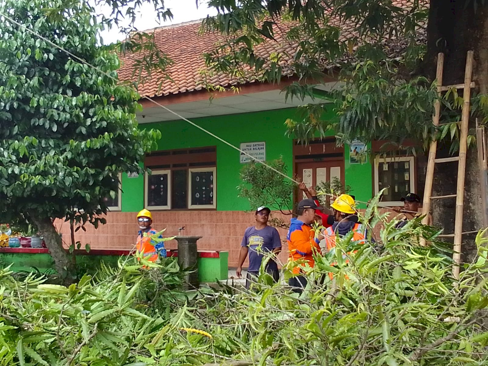 GERAK CEPAT RELAWAN KARANGDOWO TANGANI POHON TUMBANG 