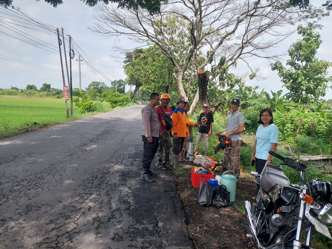 Pengecekan, Pembersihan & Penebangan Pohon di Wilayah Desa Bakungan Kecamatan Karangdowo