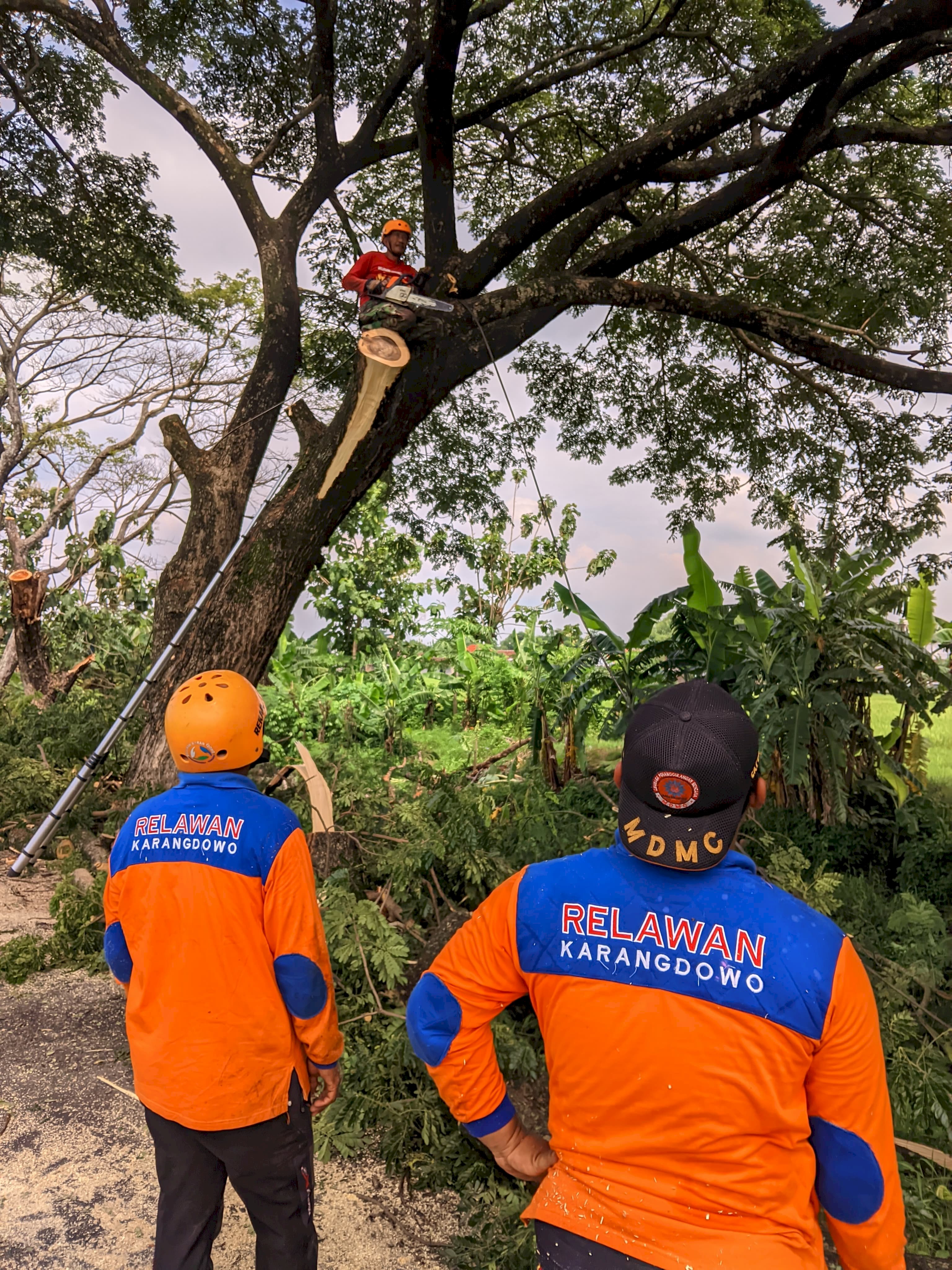 Pengecekan, Pembersihan & Penebangan Pohon di Wilayah Desa Bakungan Kecamatan Karangdowo