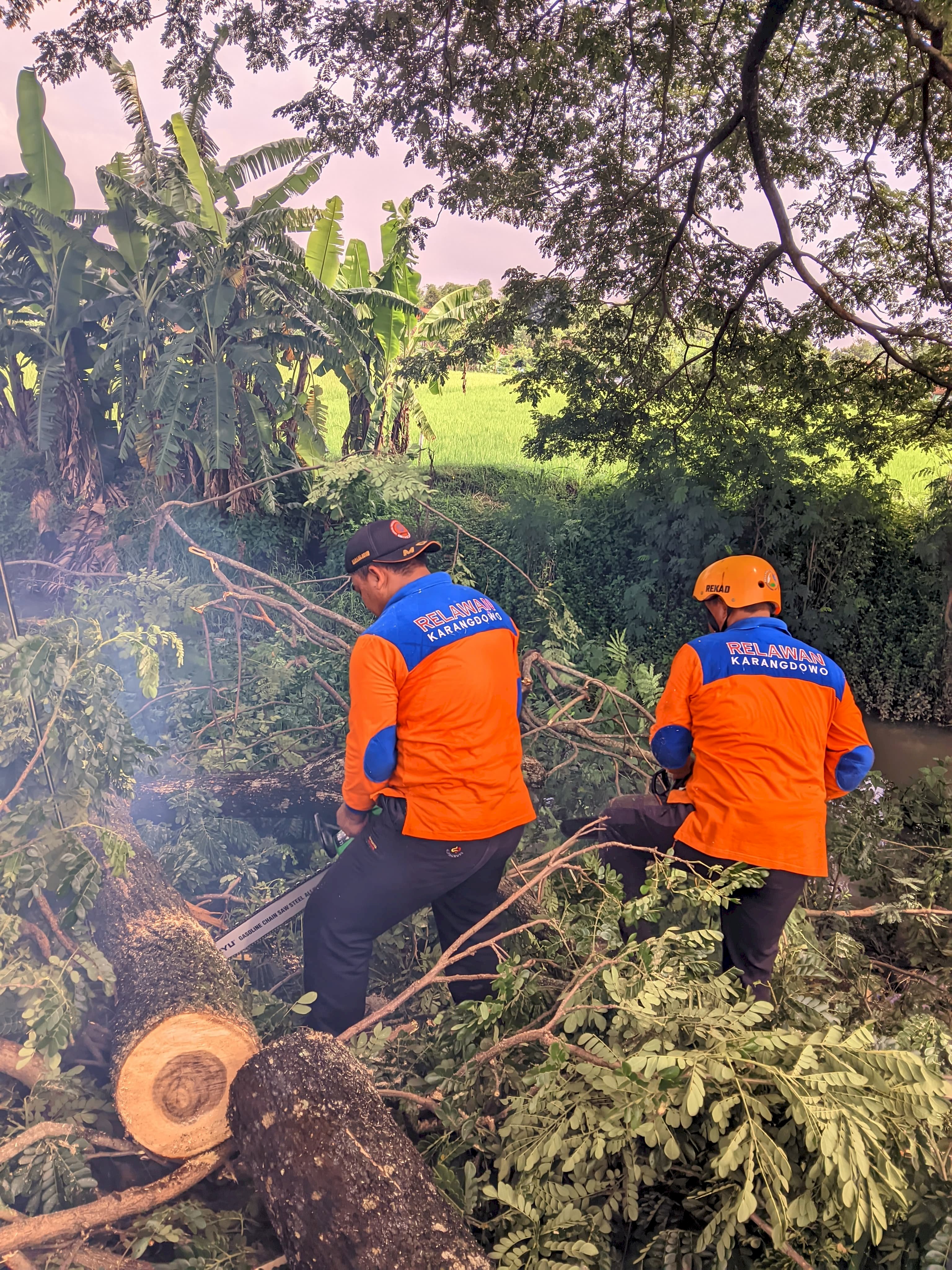 Pengecekan, Pembersihan & Penebangan Pohon di Wilayah Desa Bakungan Kecamatan Karangdowo