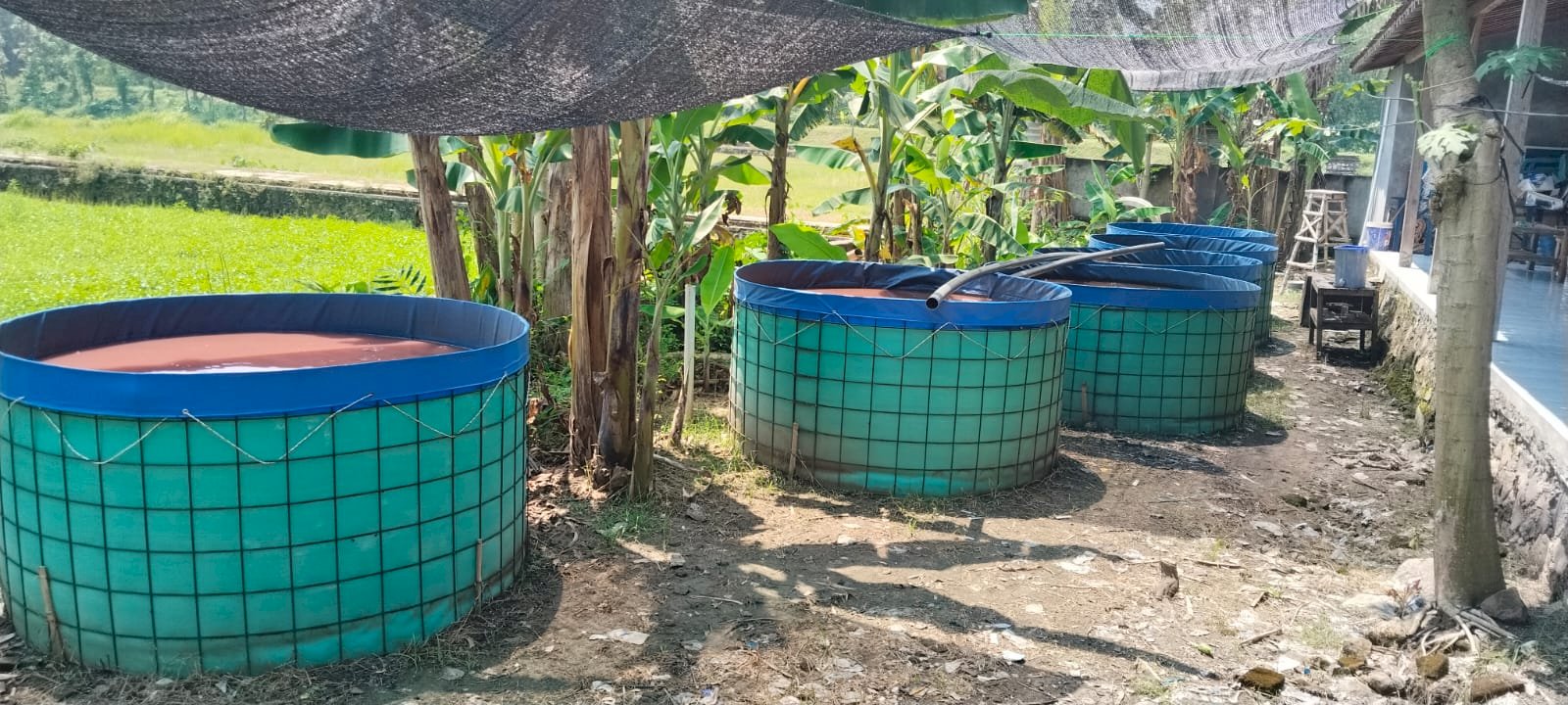 CAMAT MONITORING  KETAHANAN PANGAN BUMDES  TUMPUKAN KARANGDOWO 