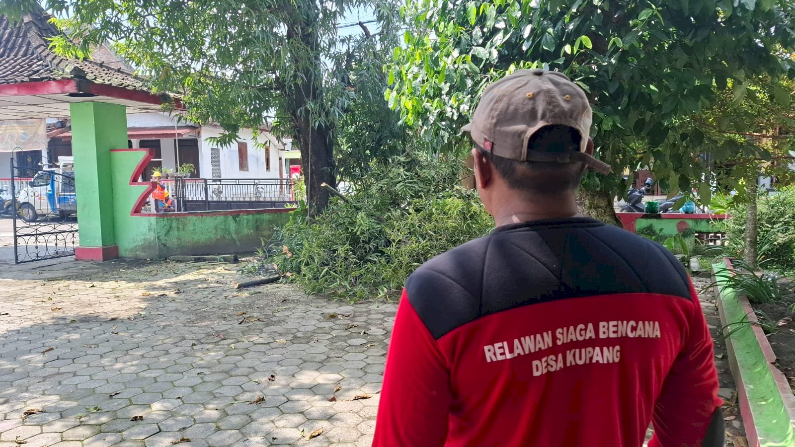 GERAK CEPAT RELAWAN KARANGDOWO TANGANI POHON TUMBANG 