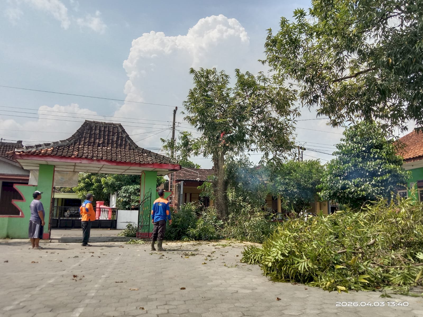 GERAK CEPAT RELAWAN KARANGDOWO TANGANI POHON TUMBANG 