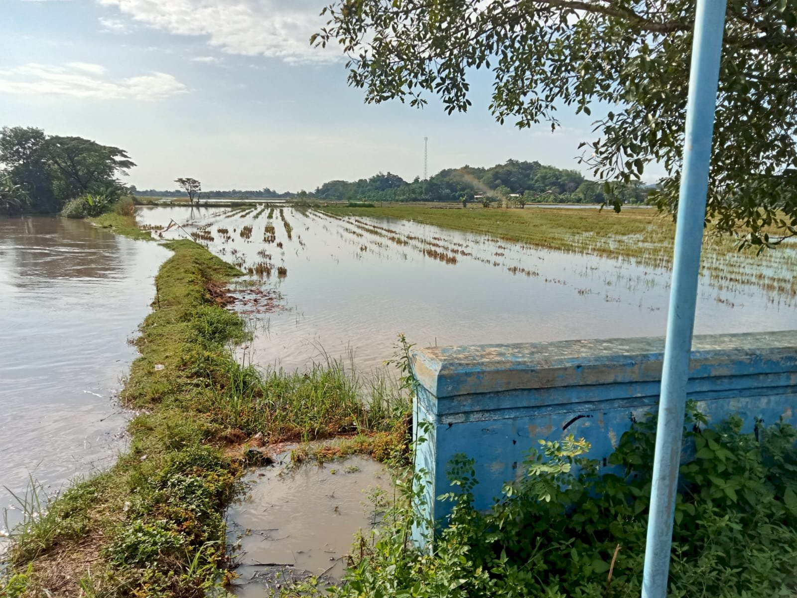 CAMAT DAN RELAWAN GERAK CEPAT LANGSUNG TINJAU LOKASI BANJIR DI KARANGDOWO